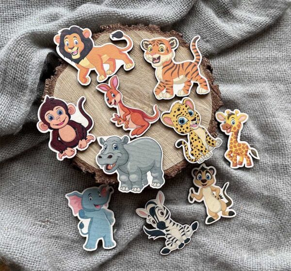 Magnesy Safari